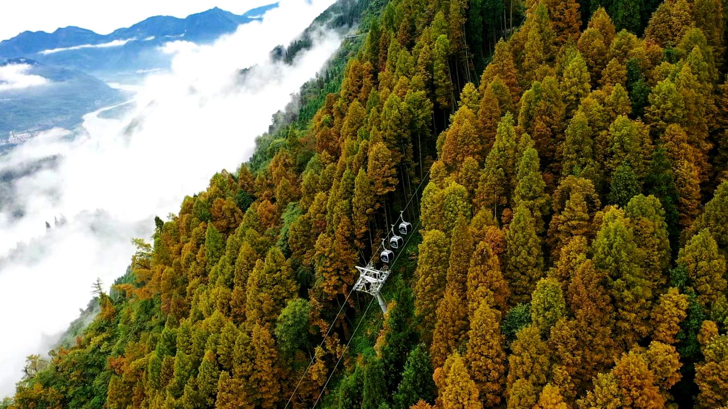 太陽(yáng)灣脈動(dòng)索道 長(zhǎng)度：802米，高差：503.5米,運(yùn)量420人小時(shí) 速度6.0米秒(1).jpg